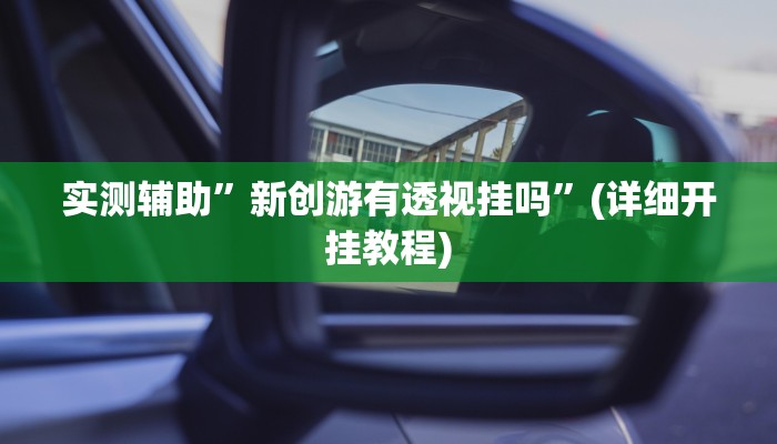 实测辅助”新创游有透视挂吗”(详细开挂教程)