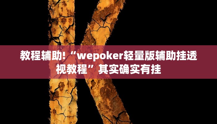 实测辅助”wepoker德州作弊透视”(详细开挂教程)
