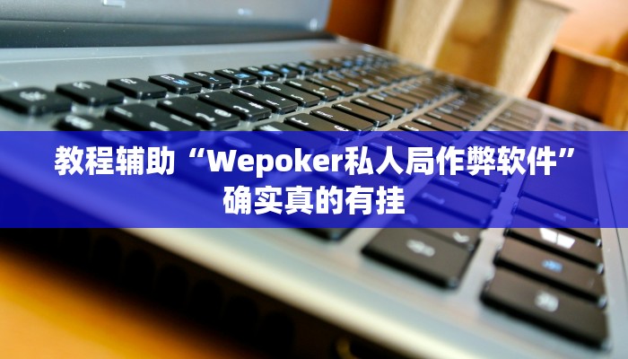 教程辅助“Wepoker私人局作弊软件”确实真的有挂