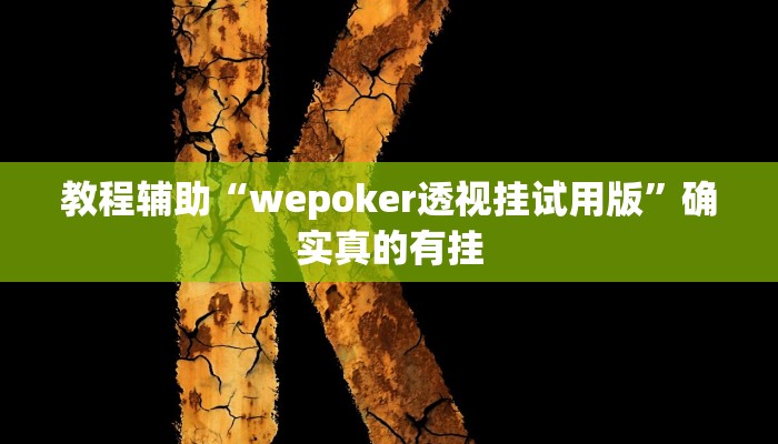 教程辅助“九张牌比鸡作弊教程现场”确实真的有挂