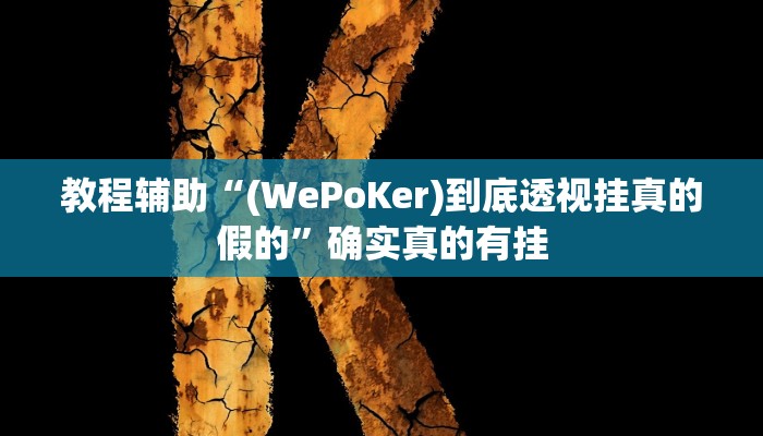 教程辅助“(德扑之星)透视开挂”确实真的有挂
