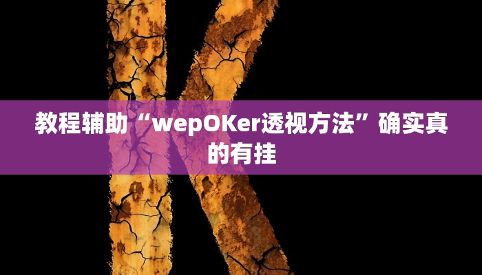 教程辅助“德州局WePoker开挂辅助作弊”确实真的有挂