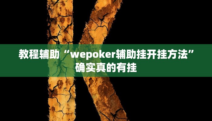 教程辅助“德扑之星确实有软件透视辅助挂”确实真的有挂