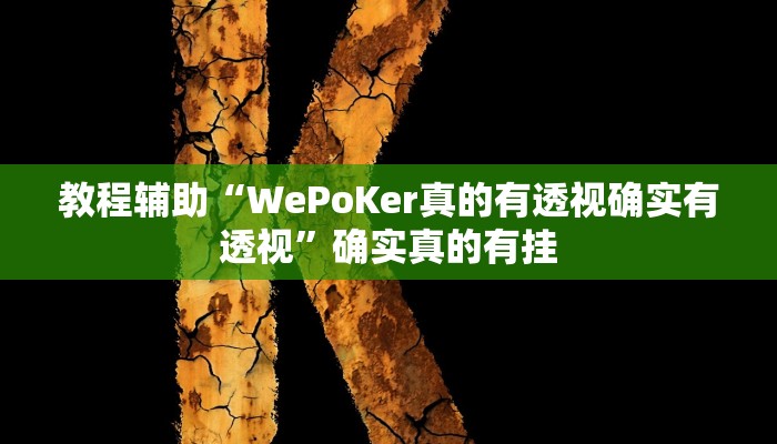 教程辅助“WePoKer真的有透视确实有透视”确实真的有挂