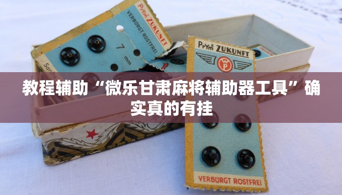 教程辅助“微乐甘肃麻将辅助器工具”确实真的有挂