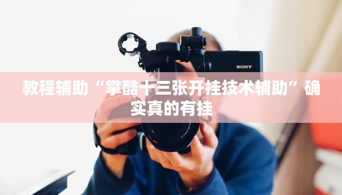 教程辅助!“非物质娱乐可以开挂吗”(详细开挂教程)