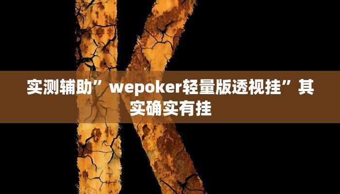 教程辅助“HHpoker透视作弊软件”确实真的有挂