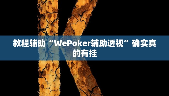 教程辅助“边锋干瞪眼开挂辅助”(原来确实是有挂)