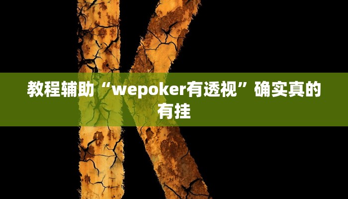 教程辅助“功夫川麻有挂吗”确实真的有挂