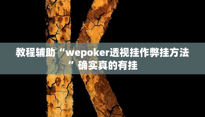 教程辅助“蜀山四川麻将外卦神器下载安装”(原来确实是有挂)