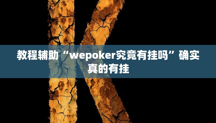 实测辅助”八闽十三张透视挂”其实确实有挂