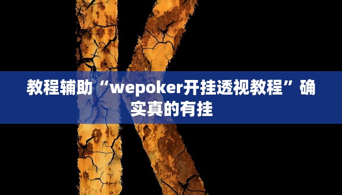 辅助神器“wepoker究竟有没有透视软件”(详细开挂教程)