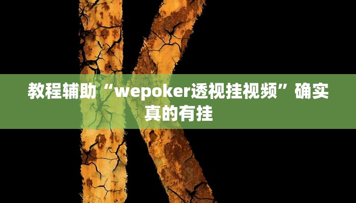 教程辅助“wepoker透视挂视频”确实真的有挂