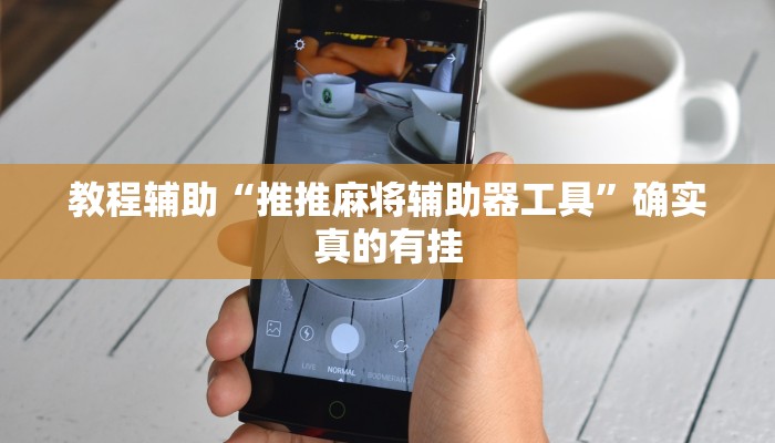 教程辅助“推推麻将辅助器工具”确实真的有挂