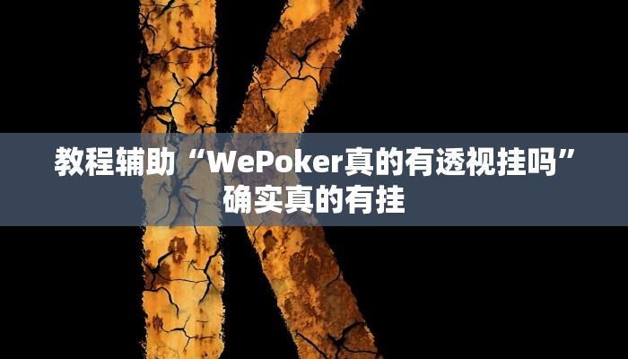 教程辅助“WePoker真的有透视挂吗”确实真的有挂