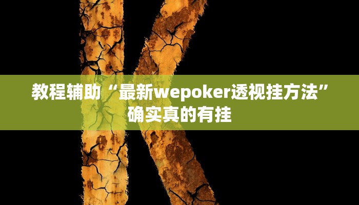 教程辅助“最新wepoker透视挂方法”确实真的有挂