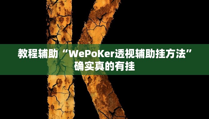 教程辅助“WePoKer透视辅助挂方法”确实真的有挂