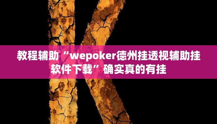 教程辅助“wepoker德州挂透视辅助挂软件下载”确实真的有挂