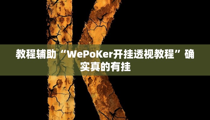 教程辅助“WePoKer开挂透视教程”确实真的有挂