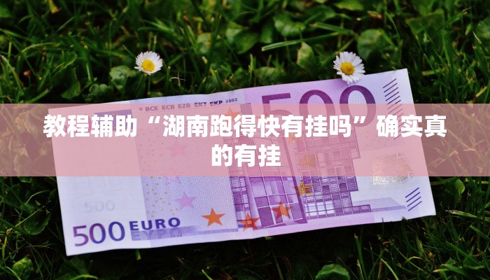 教程辅助“湖南跑得快有挂吗”确实真的有挂