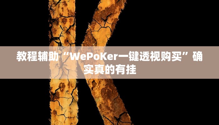 教程辅助“WePoKer一键透视购买”确实真的有挂