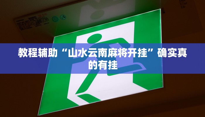 教程辅助“皮皮跑胡子有软件挂吗”确实真的有挂