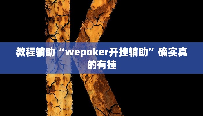 教程辅助“wepoker开挂辅助”确实真的有挂