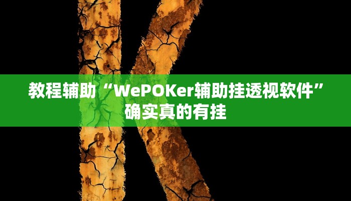 教程辅助“WePOKer辅助挂透视软件”确实真的有挂
