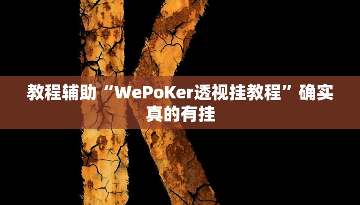 教程辅助“WePoKer透视挂教程”确实真的有挂