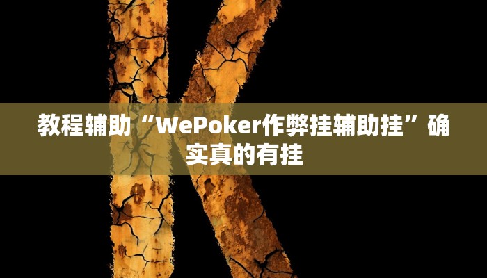 教程辅助“WePoker作弊挂辅助挂”确实真的有挂