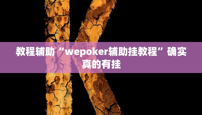 教程辅助“德扑之星有没有作弊挂”确实真的有挂