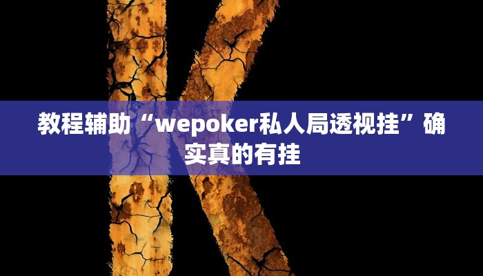 教程辅助“山东跑得快开辅助挂”确实真的有挂