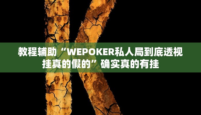教程辅助“WEPOKER私人局到底透视挂真的假的”确实真的有挂