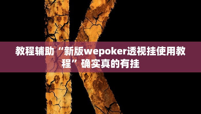 教程辅助“新版wepoker透视挂使用教程”确实真的有挂