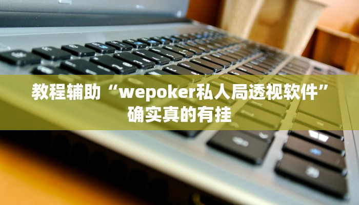 教程辅助“wepoker私人局透视软件”确实真的有挂