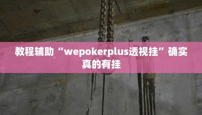教程辅助“wepokerplus透视挂”确实真的有挂