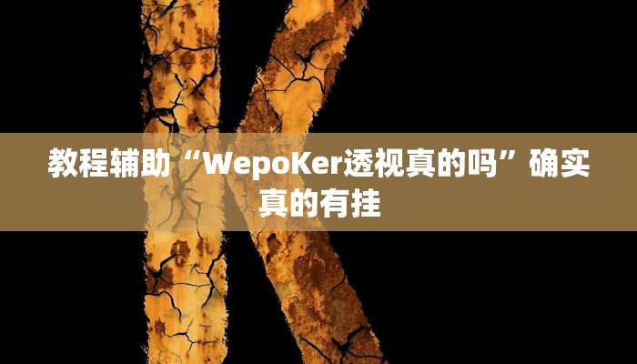 教程辅助“WepoKer透视真的吗”确实真的有挂