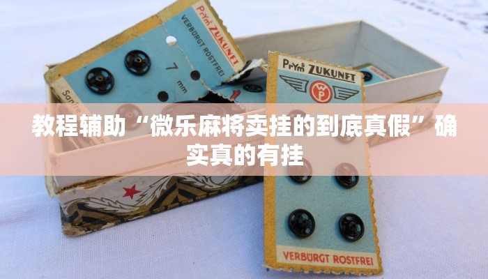 教程辅助“微乐麻将卖挂的到底真假”确实真的有挂