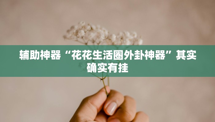 辅助神器“花花生活圈外卦神器”其实确实有挂