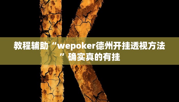 教程辅助“wepoker德州开挂透视方法”确实真的有挂