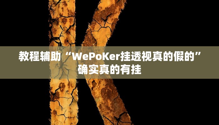 教程辅助“WePoKer挂透视真的假的”确实真的有挂