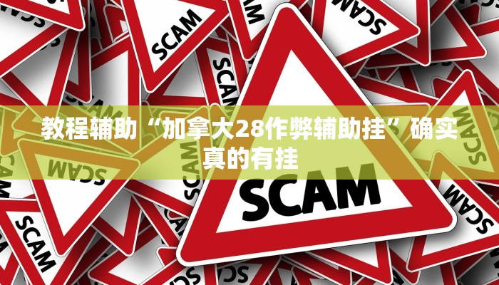 教程辅助“烛龙大厅有透视挂吗”(原来确实是有挂)