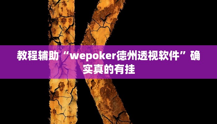 教程辅助“wepoker德州透视软件”确实真的有挂