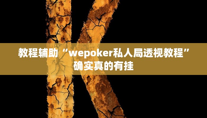 教程辅助“wepoker私人局透视教程”确实真的有挂