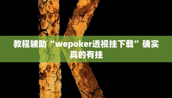 教程辅助“wepoker透视挂下载”确实真的有挂