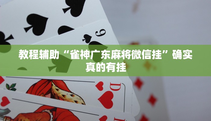 教程辅助“雀神广东麻将微信挂”确实真的有挂