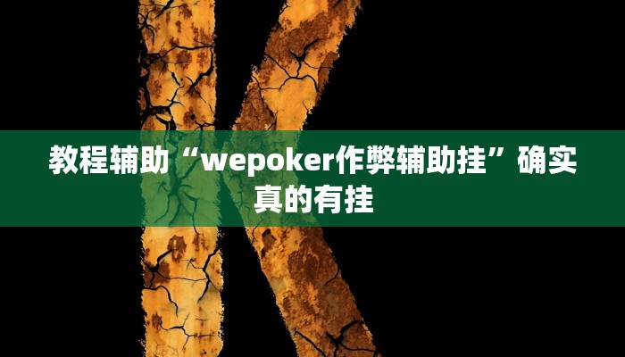 教程辅助“wepoker作弊辅助挂”确实真的有挂