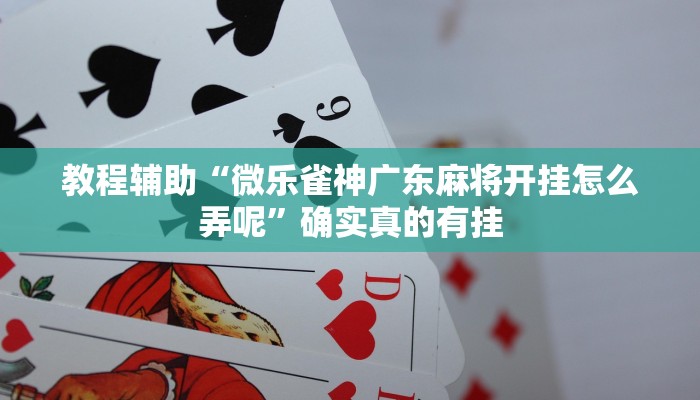 教程辅助“微乐雀神广东麻将开挂怎么弄呢”确实真的有挂