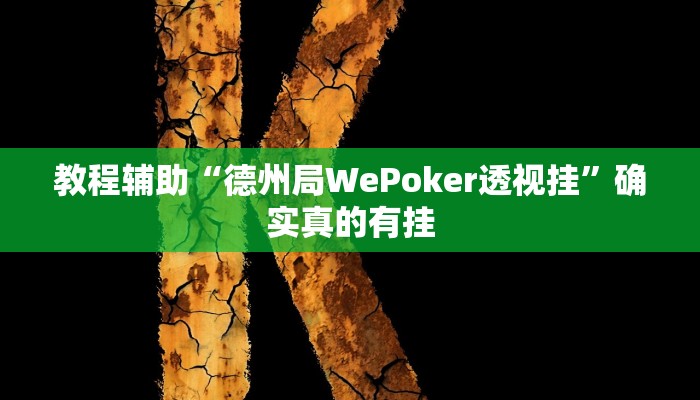 教程辅助“德州局WePoker透视挂”确实真的有挂