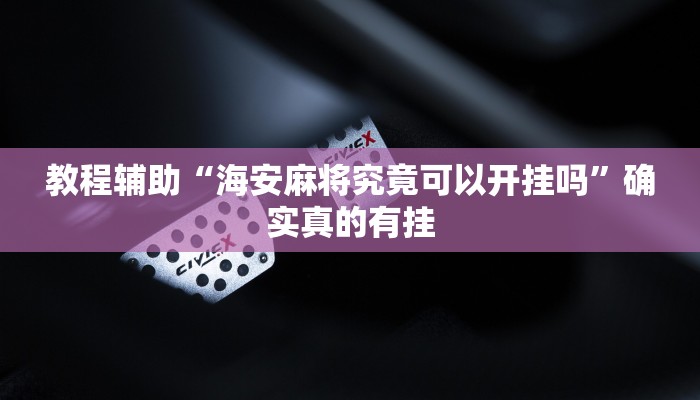 教程辅助“海安麻将究竟可以开挂吗”确实真的有挂